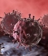 Curing Cancer based on the cancer's own genome | Amazing Science | Scoop.it
