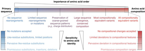 Protein activities driven by amino acid composition | jbc | RMH | Scoop.it