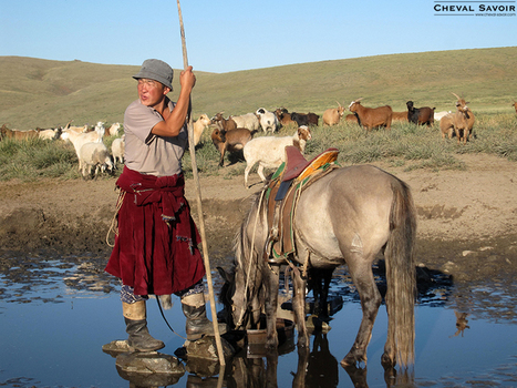 La musique de Mongolie est une ode au cheval ! | Salon du Cheval | Scoop.it