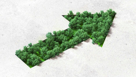 2023 Will Test Companies’ Commitment to Social Responsibility | Ethical Leadership and Governance | Scoop.it