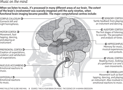 8 Surprising Ways Music Affects the Brain | Human Rights | Scoop.it