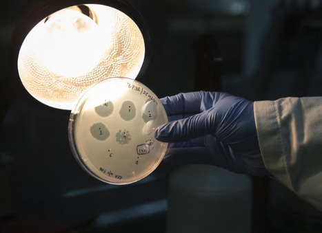 AI Creates 16 New Viruses From Scratch | Virus World | Scoop.it