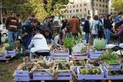 A Roma spopolano gli orti urbani | Orto, Giardino, Frutteto, Piante Innovative e Antiche Varietà | Scoop.it