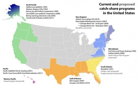 $400 billion ocean fishing industry Large Corporate Fishing Fleets Emptying Our Oceans | OUR OCEANS NEED US | Scoop.it