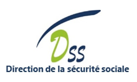 Organigramme de la direction de la S&eacute;curit&eacute; sociale (DSS) | Protection sociale | Scoop.it