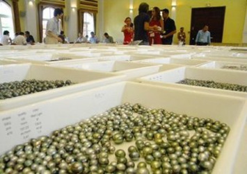 Déjà 142 millions de Fcfp de perles achetées | Kiosque du monde : Océanie | Scoop.it