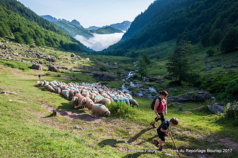 Le pastoralisme au féminin au menu des Journées du Reportage à Bourisp | Vallées d'Aure & Louron - Pyrénées | Scoop.it