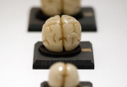 I got it wrong: seven writers on why they changed their minds | Nerdy Needs | Scoop.it