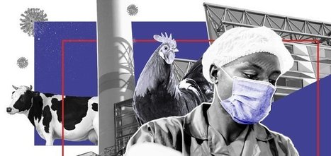 Meatpacking workers wonder whether job is a 'death sentence' amid outbreaks | PSLabor:  Your Union Free Advantage | Scoop.it