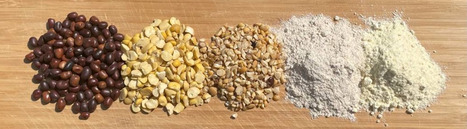 C&DAC lance ses farines de légumineuses fermentées | AGROALIMENTAIRE | Scoop.it