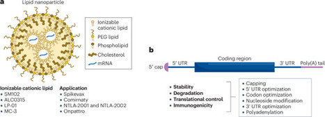 Towards mRNA therapeutics 2.0 | Nature Reviews Drug Discovery | RMH | Scoop.it