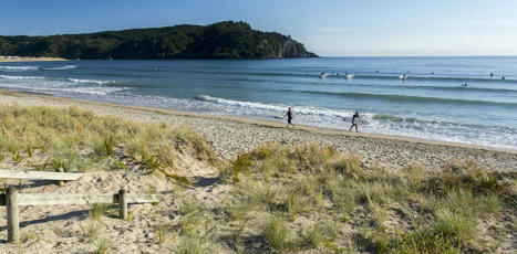 Too many Māori and Asian people are drowning – can better cultural understanding reverse the trend? | Physical and Mental Health - Exercise, Fitness and Activity | Scoop.it