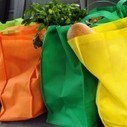 Plastic Bag Ban Could Save Lives | The EcoPlum Daily | Scoop.it