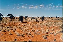 Désert du Kalahari | Les déserts dans le monde | Scoop.it