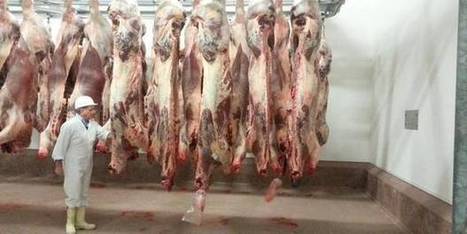 Tournai (Belgique). L’espoir via un permis d’environnement | La Gazette des abattoirs | Scoop.it