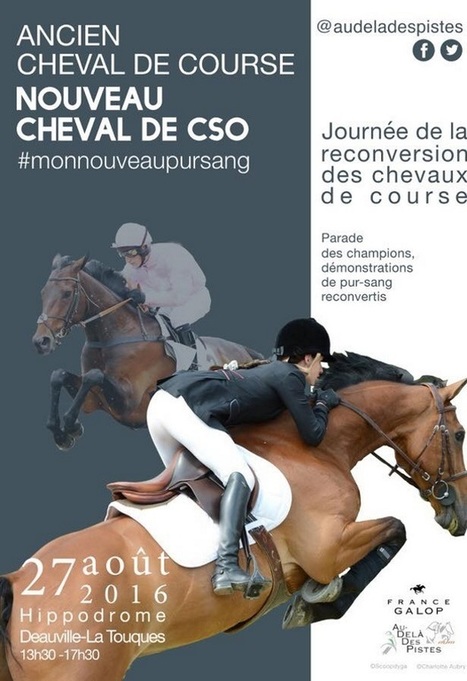 Reconversion du cheval de course, l’avenir des courses - Equidia Live | Cheval et sport | Scoop.it
