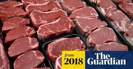 Rising global meat consumption 'will devastate environment' | Environment | The Guardian | GTAV AC:G Y9 - Biomes and food security | Scoop.it