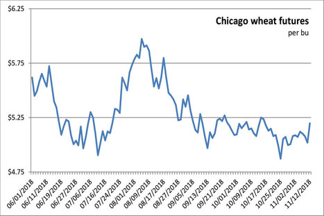 Wheat futures advance, equity markets tumble | MED-Amin network | Scoop.it