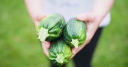 Gardening Advice For A Luscious, Healthy Garden | Eco-Friendly Lifestyle | Scoop.it