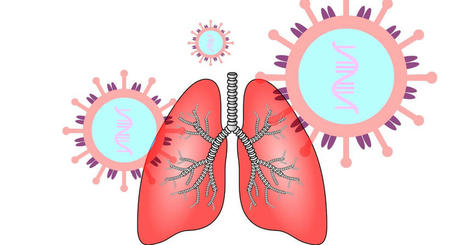 AI algorithm that can detect the presence of COVID-19 disease in Chest X Rays | Healthcare in India | Scoop.it