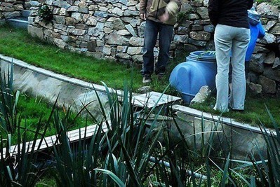 A l'Ecocum, les plantes filtrent les eaux usées - Loperhet (29) | Build Green, pour un habitat écologique | Scoop.it