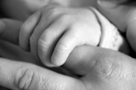 Uso de Recursos Educativos Abiertos para AICLE: ATTACHMENT ... | CLIL Didactic Units | Scoop.it