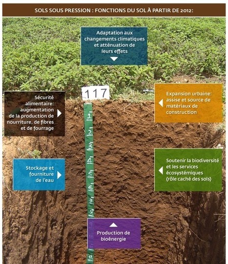GSP: Pourquoi un Partenariat mondial sur les sols? | Biodiversité | Scoop.it