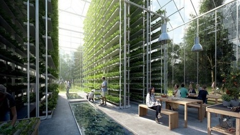 Self-sustaining eco village of one hundred houses creates off-the-grid prototype | Peer2Politics | Scoop.it