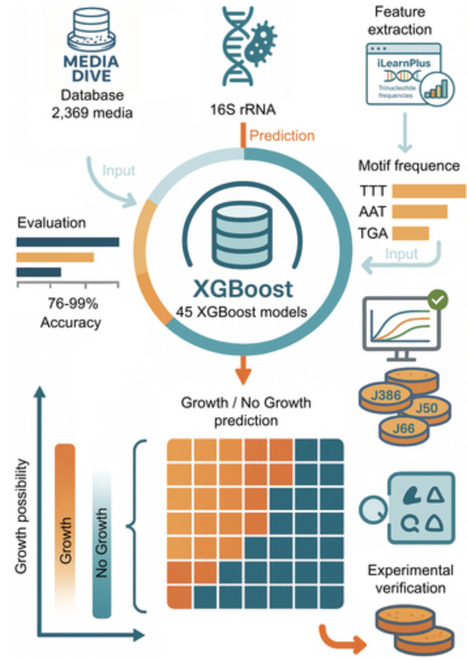 MediaMatch: Prediction of Bacterial Growth on Different Culture Media Using the XGBoost Algorithm | mbt | RMH | Scoop.it