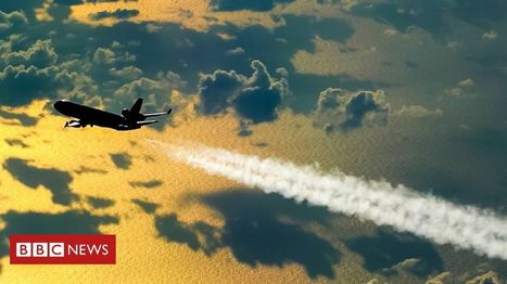 Could aviation ever be less polluting? | Microeconomics: IB Economics | Scoop.it