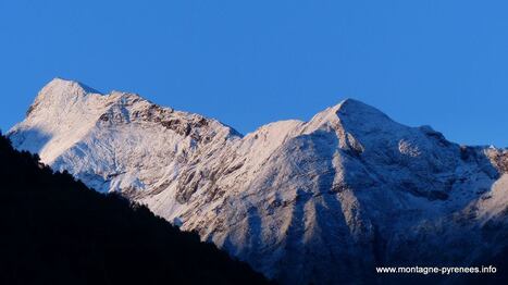 Marronnier  blanc | Vallées d'Aure & Louron - Pyrénées | Scoop.it