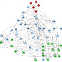 Les botnets adoptent de plus en plus le r&eacute;seau Tor | Libert&eacute;s Num&eacute;riques | Scoop.it