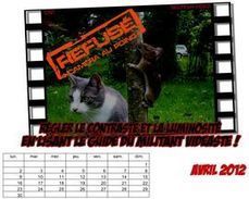 Images et sons de la manif du 24 mars 2012 contre le projet d'a&eacute;roport de Notre-Dame-des-Landes - CNT Secteur Vid&eacute;o | Vid&eacute;os_NDL | Scoop.it