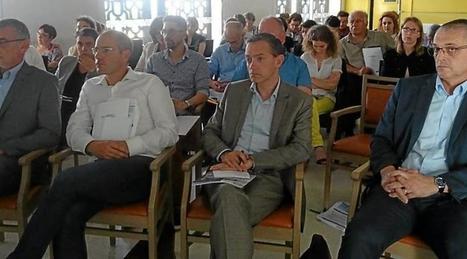 La télémédecine, un remède à la désertification | Les news du GCS e-santé PdL | Scoop.it