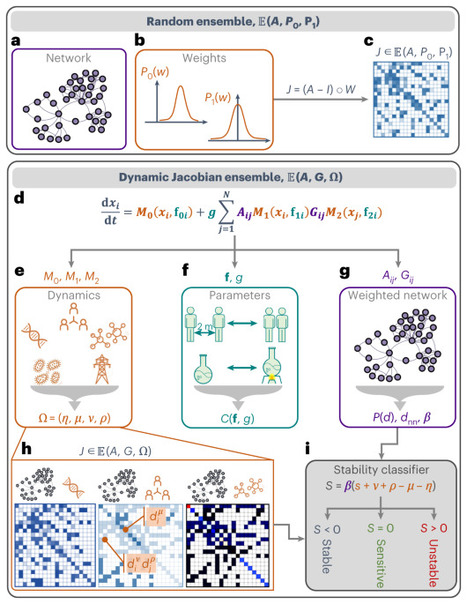 Emergent stability in complex network dynamics | Papers | Scoop.it