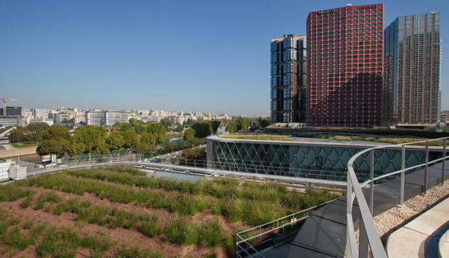 Les toits de Paris, un bouclier contre le réchauffement climatique