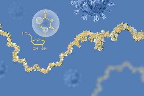 The Nobel Prize in Physiology or Medicine 2023 | CxAnnouncements | Scoop.it