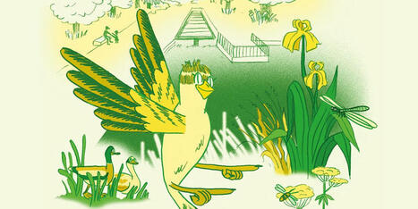 Laissez-vous guider par un moineau ! | Environnement, paysage et biodiversité | Scoop.it