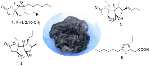 Cytotoxic Polyketide Derivatives from the South China Sea Sponge Plakortis simplex | Natural Products Chemistry Breaking News | Scoop.it