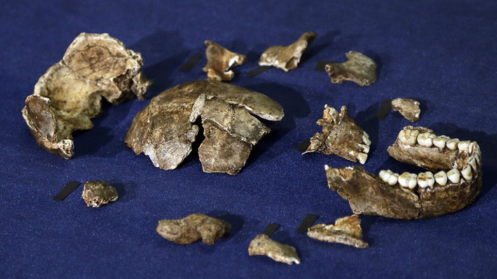 Kenya: des archéologues découvrent un massacre vieux de 10'000 ans | ArcInfo (Suisse) | Kiosque du monde : Afrique | Scoop.it