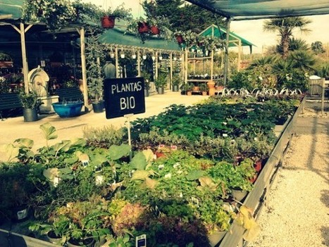 Kitchen’s garden | 1001 Gardens | 1001 Gardens ideas ! | Scoop.it
