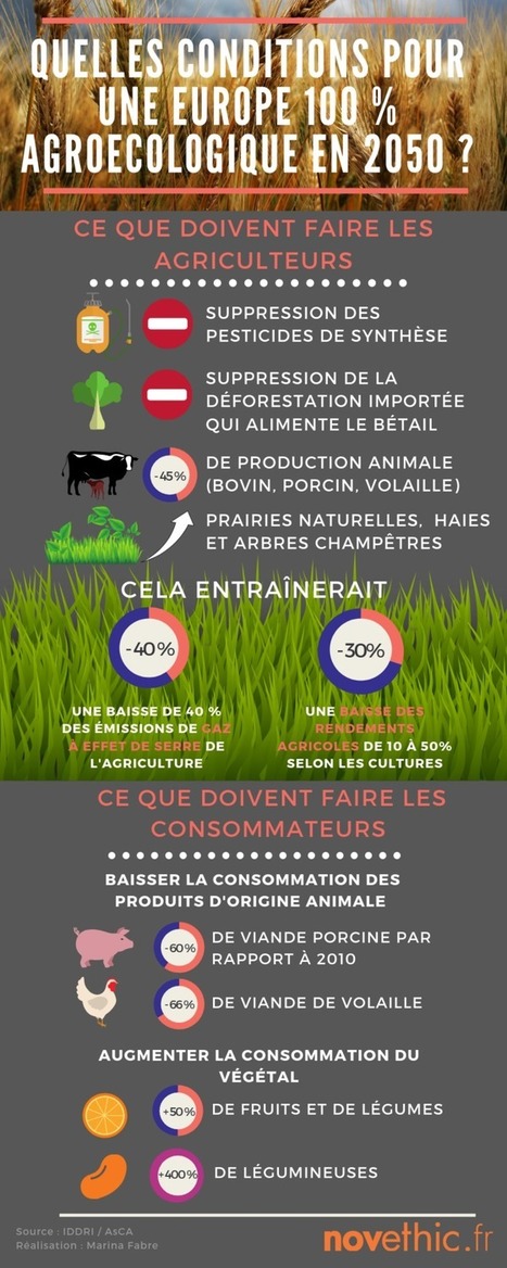 [Infographie] En 2050, l'agroécologie pourrait nourrir tous les Européens à condition de manger moins et mieux | Vers la transition des territoires ! | Scoop.it