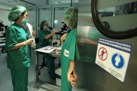 Le boom de la PMA en Espagne | Bio&eacute;thique & Procr&eacute;ation | Scoop.it