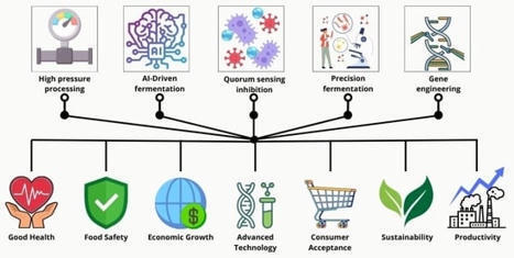 Novel Fermentation Techniques for Improving Food Functionality: An Overview [Fermentation] | IPCI : Ingénierie de Produits à l'interface Cuisine-Industrie | Scoop.it