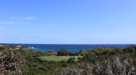 Pollution maritime &agrave; Bonifacio : L'OEC tire la sonnette d'alarme | Corse-Matin / 11.09.2019 | Pollution accidentelle des eaux (+ d&eacute;chets plastiques) | Scoop.it