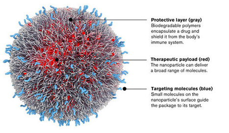 Programmable Nanoparticles for Fine-tuning Nanotech to Target Cancer | Amazing Science | Scoop.it