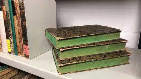 REPORTAGE. "Ça peut déclencher des malaises, vomissements ou diarrhées" : en Allemagne, des livres du 19e siècle colorés à l'arsenic sont retirés des bibliothèques | L'actualité des bibliothèques | Scoop.it