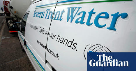 Severn Trent fined more than £2m for ‘reckless’ pollution of River Trent | Water industry | The Guardian | Microeconomics: IB Economics | Scoop.it