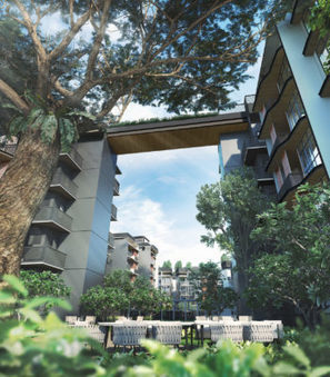 Daintree Residence Official | ShowFlat 6100 6189 Singapore | daintreeresidence | Scoop.it