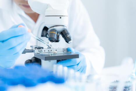 #Cancer : pourquoi certains succ&egrave;s en laboratoire ne marchent pas dans la r&eacute;alit&eacute; @mpi_ie @BUnifr @AsifaAkhtar1 #Tumeurs #Recherche #Traitement | autour du CANCER | Scoop.it
